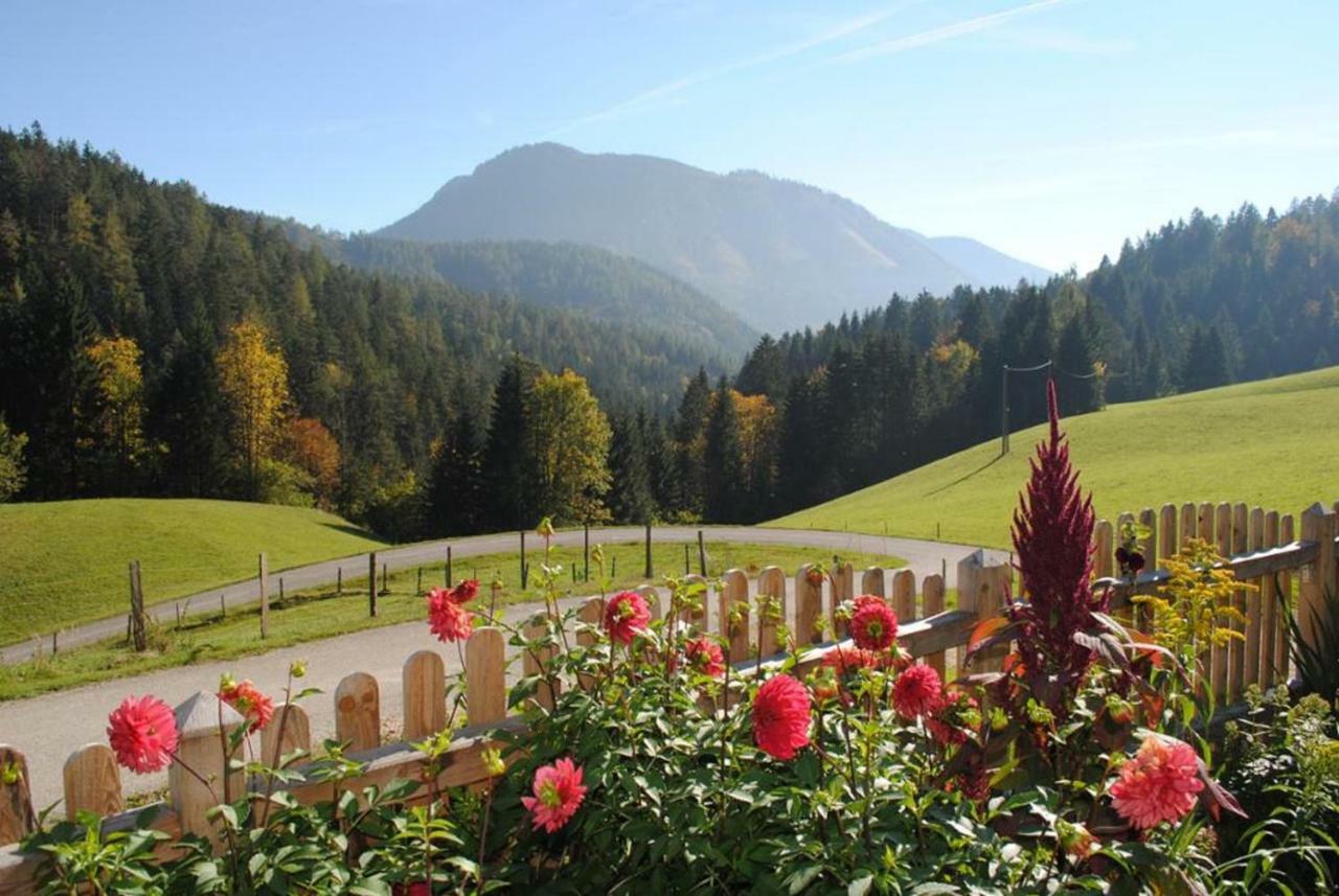 Familienbauernhof Glockriegl Villa Lunz am See Bagian luar foto