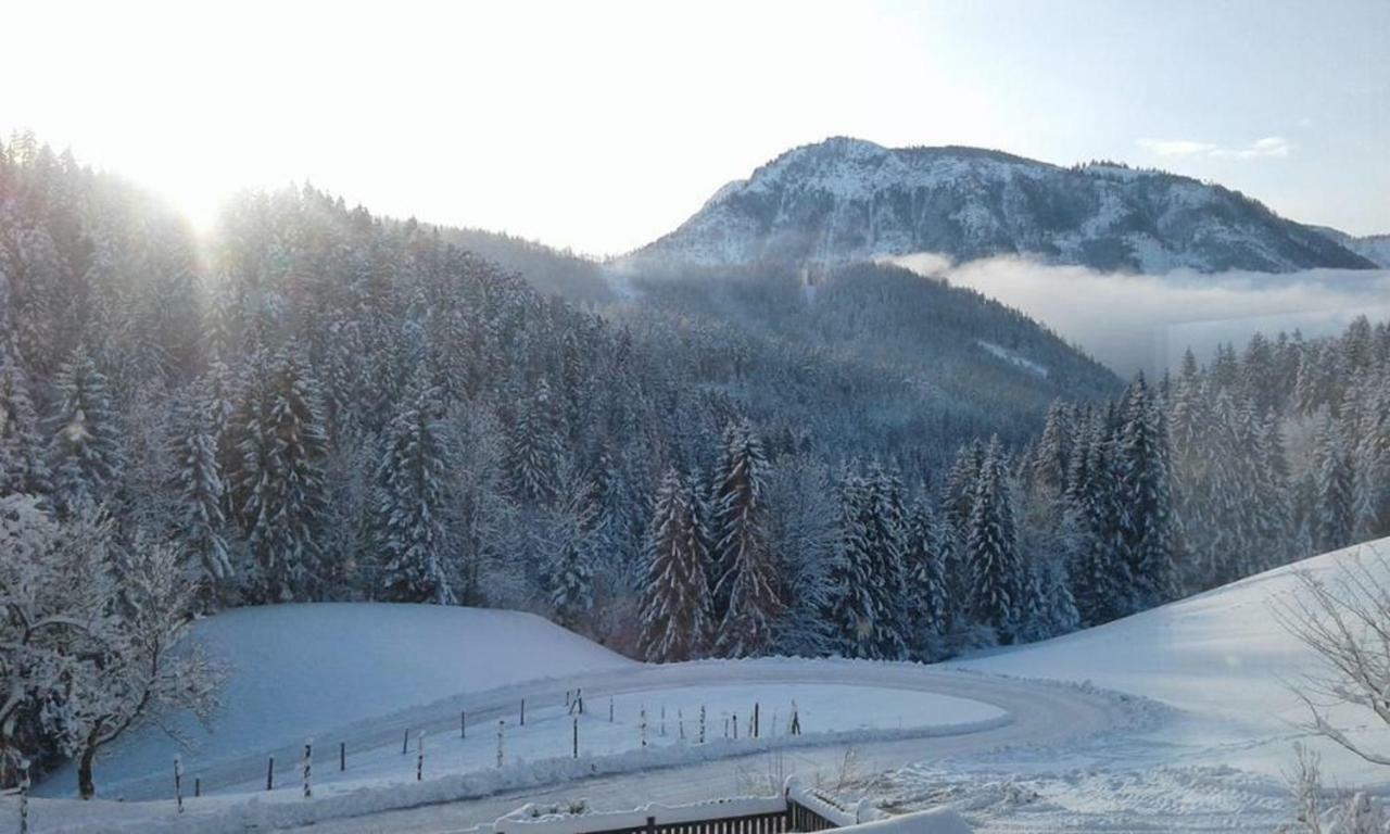 Familienbauernhof Glockriegl Villa Lunz am See Bagian luar foto